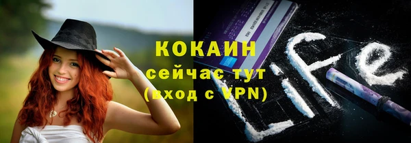 спайс Богданович