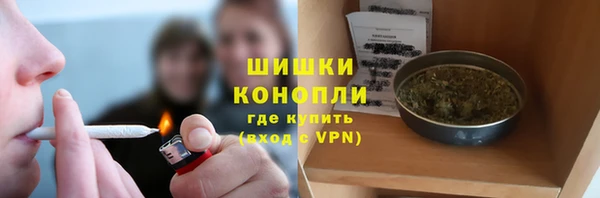 спайс Богородицк