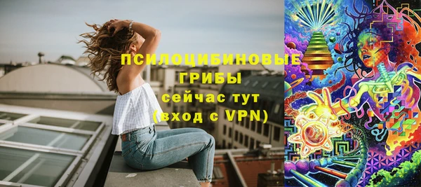 спайс Богородицк